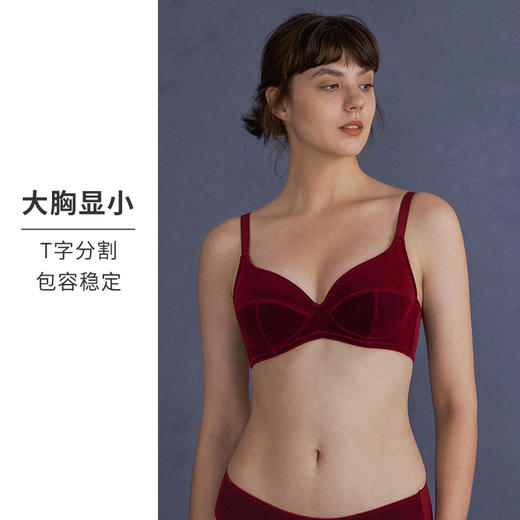 HSIA遐大胸显小内衣女珠光丝绒normcore全罩杯复古有钢圈上托文胸 商品图4