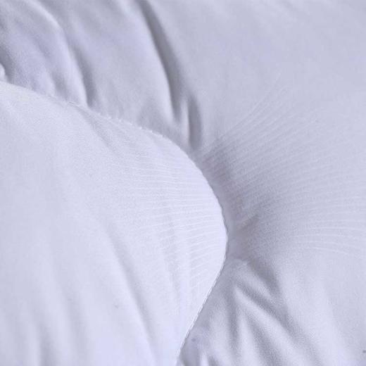 水星家纺 DH杜桑羽丝绒被-117765 商品图2