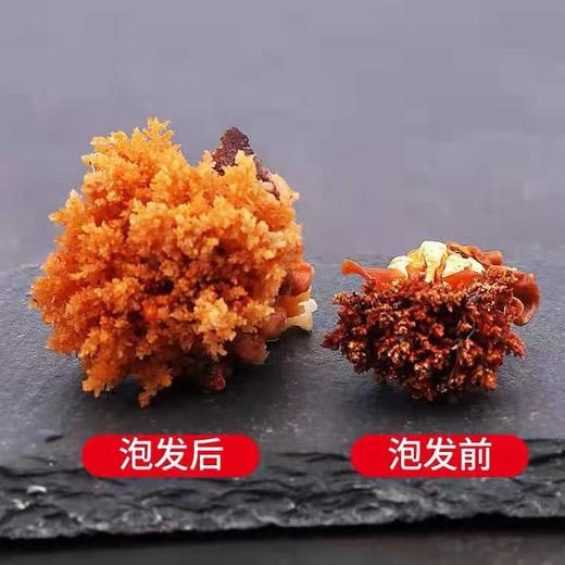 Ocean Feast加拿大野生海参花227g滋补炖汤食材（一般贸易） 商品图8