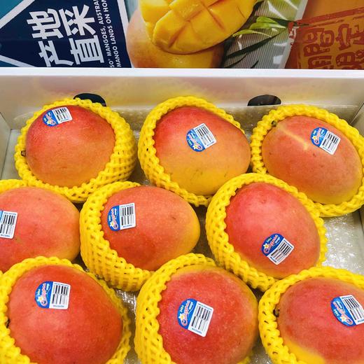 澳大利亚Mango芒果香气十足，口感细腻光滑！澳洲空运直达，Ole、高岛屋等商超同款哦[得意] 商品图6
