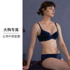 HSIA遐大胸显小内衣女珠光丝绒normcore全罩杯复古有钢圈上托文胸 商品缩略图2
