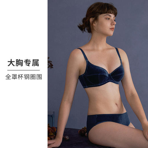 HSIA遐大胸显小内衣女珠光丝绒normcore全罩杯复古有钢圈上托文胸 商品图2