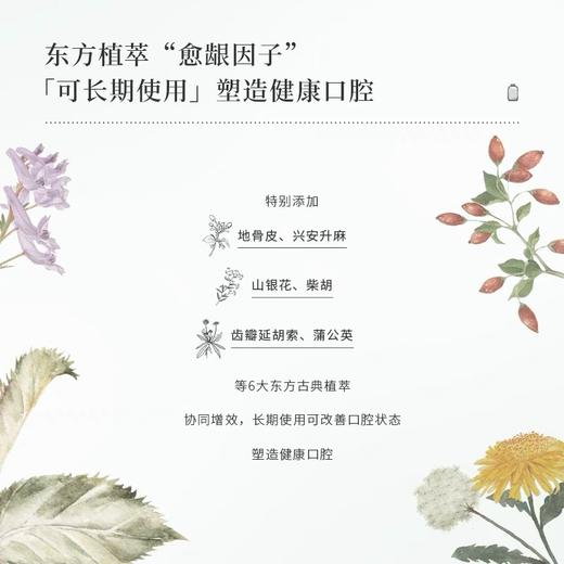 一现 东方植物益生菌漱口水 450ml 商品图4