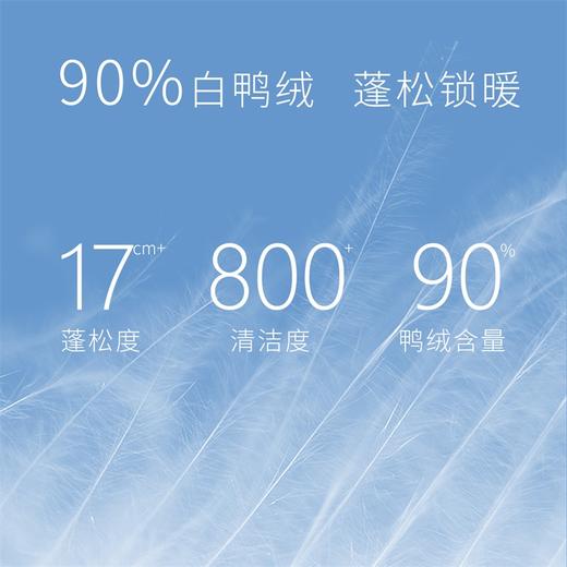 贝贝怡新款男女儿童羽绒服轻盈厚实秋冬保暖宝宝白鸭绒外套214S2780
 商品图11