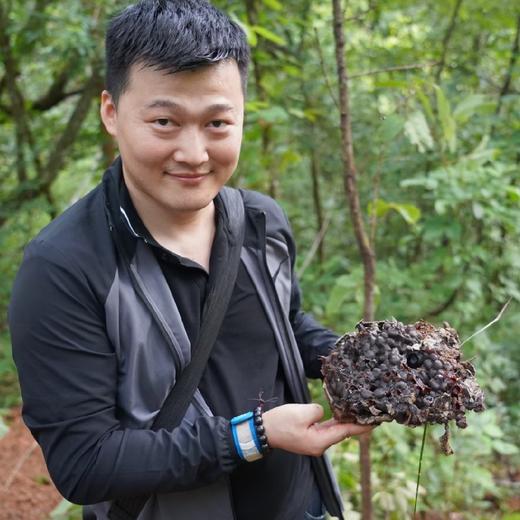 原始森林10年左右老巢 酸蜜 500g/瓶（排单发货，不接受退单） 商品图1