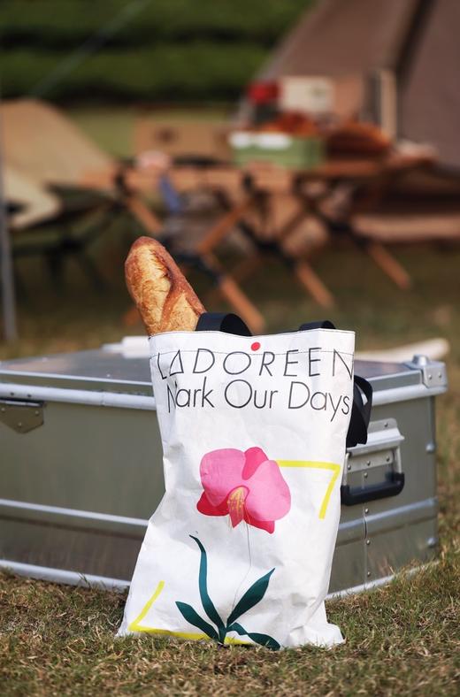 蘭多琳定制杜邦纸袋 商品图0