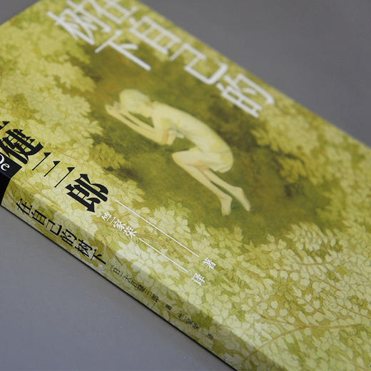 在自己的树下 大江健三郎人生成长散文系列 3000747 商品图3