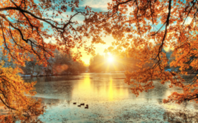 深秋补得好，冬病不来找！