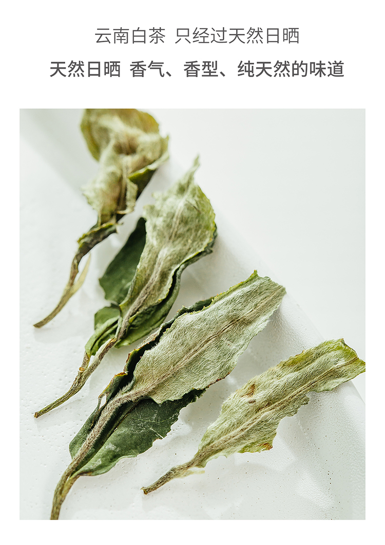 淳时新派茶特等金奖古树白茶150克