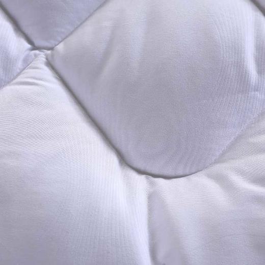 水星家纺 DH杜桑羽丝绒被-117765 商品图3