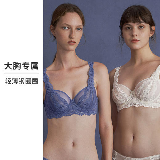 HSIA遐大胸显小文胸长三角全罩杯上托胸罩云卷云舒性感蕾丝内衣女 商品图1