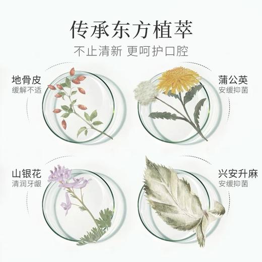 一现 东方植物益生菌漱口水 450ml 商品图3