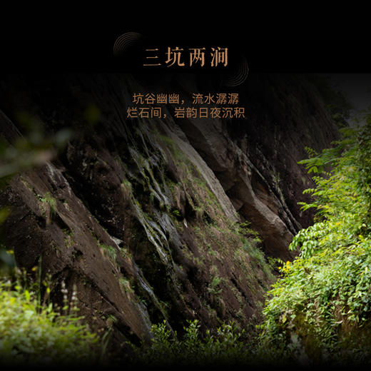 溪谷传芳·产自武夷正岩核心区大红袍64g礼盒装 商品图2