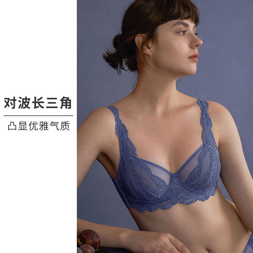 HSIA遐大胸显小文胸长三角全罩杯上托胸罩云卷云舒性感蕾丝内衣女 商品图2