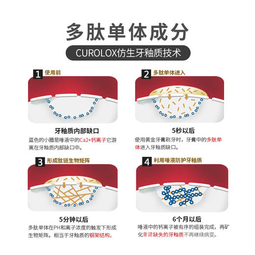 【品牌直发】瑞士进口Dr.wild怀尔德多肽牙膏 商品图2