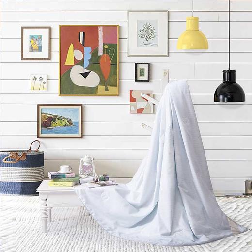 水星家纺 DH莘德拉蚕丝被-114345 商品图0