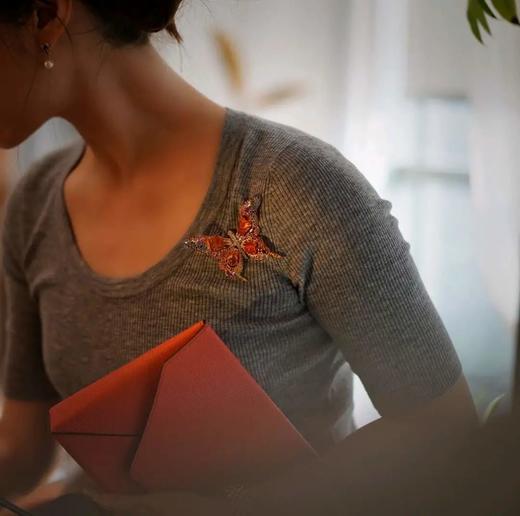 燃烧吧！火蝴蝶 商品图4