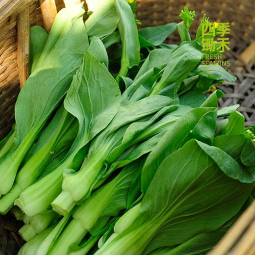 青菜心/老品种青菜心（400g）因季节原因，不用化肥的叶菜会略带苦味哦！ 商品图0