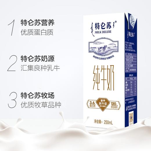 YS 蒙牛 特仑苏纯牛奶 250mlx12盒  130100000138 商品图4