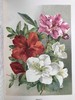约20世纪早期 花卉种植者指南（全3卷） 45幅彩色版画与500余幅黑白版画插图 漆布精装16开 商品缩略图13