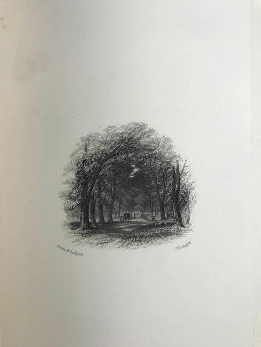 工坊特装本16开！1894年 托马斯·格雷诗集 4幅版画插图 全真皮精装 商品图8