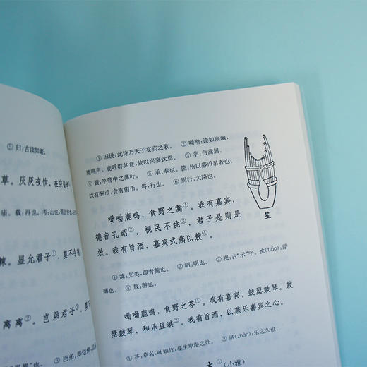 诗经选注 恋上古诗词 版画插图版 3000844 商品图5