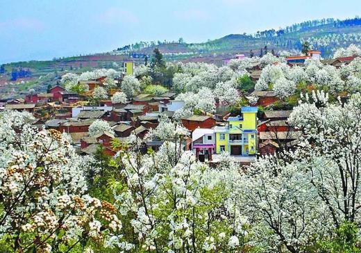 云南梨花寨、罗平油菜花、弥勒东风韵、元阳梯田、建水古城、宜良樱花8天摄影团 商品图1