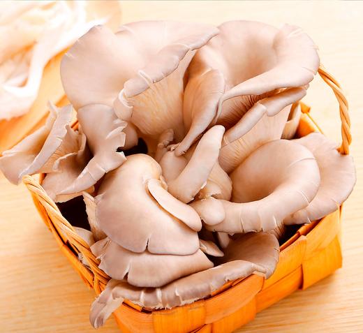 平菇  500g【DD】 商品图0