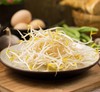 绿豆芽  500g【DD】 商品缩略图0