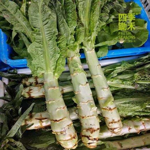 莴笋（500g）红/白莴笋，新上来的莴笋有点细但很香哦~ 商品图3
