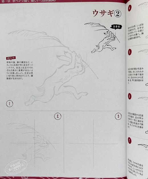【中商原版】用毛笔描绘的日本画中的动物们 日文原版 筆ペンで描く日本画の動物たち 商品图4
