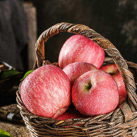 爆品回归！【亲享苹果】 喝羊奶长大的苹果亲享羊奶苹果   个大均匀 皮薄肉厚 肉质如羊奶般丝滑细嫩    春节不打烊