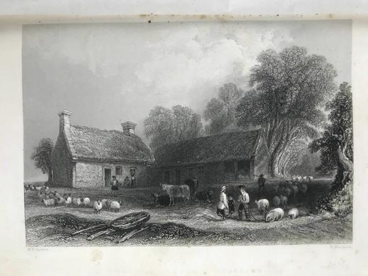 约19世纪后期 彭斯作品全集 近百幅版画插图 真皮精装16开 商品图10