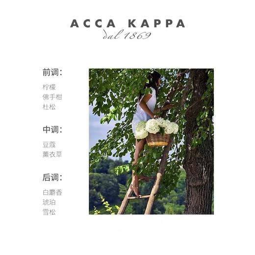ACCA KAPPA白苔秀发香氛30ml 商品图2