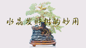 好物│水晶发财树的招财寓意