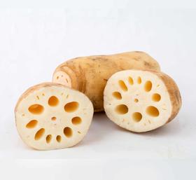 莲藕  500g【DD】
