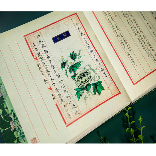 食物本草图谱 一本活的食物本草：养生之道，莫先于饮食 商品图2