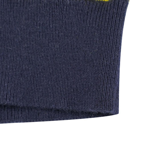 GOOD LUCK德鲨纯羊毛彩色条纹圆领休闲针织毛衫L283219-875 商品图9