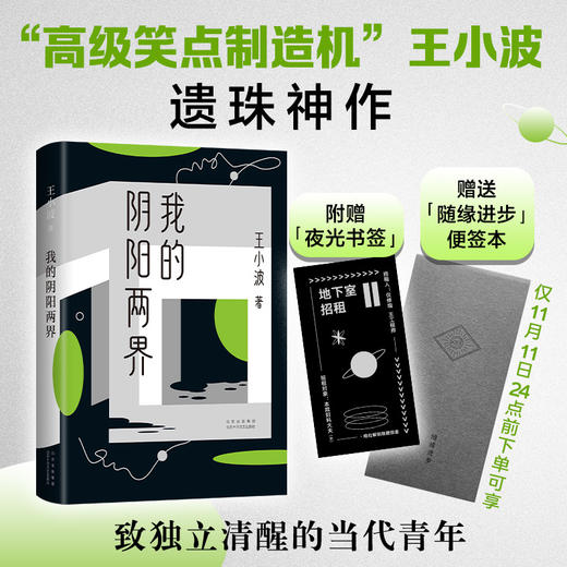 现货正版 王小波： 我的阴阳两界  商品图0