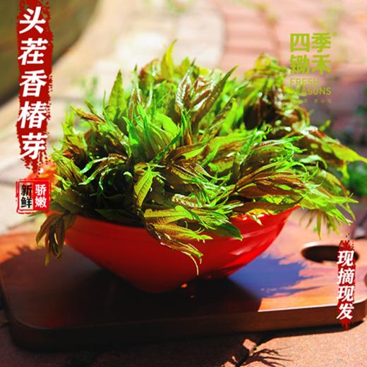 【精选】香椿（100g） 商品图0