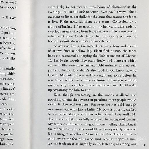 饥饿游戏1 英文原版小说 The Hunger Games Trilogy英文版 电影原著正版小说书籍 燃烧的女孩 嘲笑鸟 科幻小说 正版 商品图5