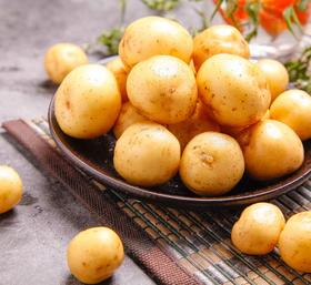 小土豆  500g【DD】