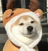 全款预售实物商品提交爱逛供货商推广测试 商品缩略图0