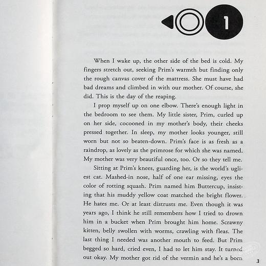 饥饿游戏1 英文原版小说 The Hunger Games Trilogy英文版 电影原著正版小说书籍 燃烧的女孩 嘲笑鸟 科幻小说 正版 商品图4