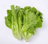 生菜  500g【DD】 商品缩略图0