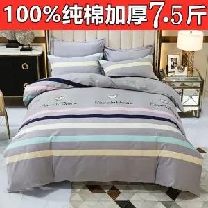 【原价500多】纯棉加厚磨毛四件套全棉秋冬1.5m1.8米床单被套 商品图2