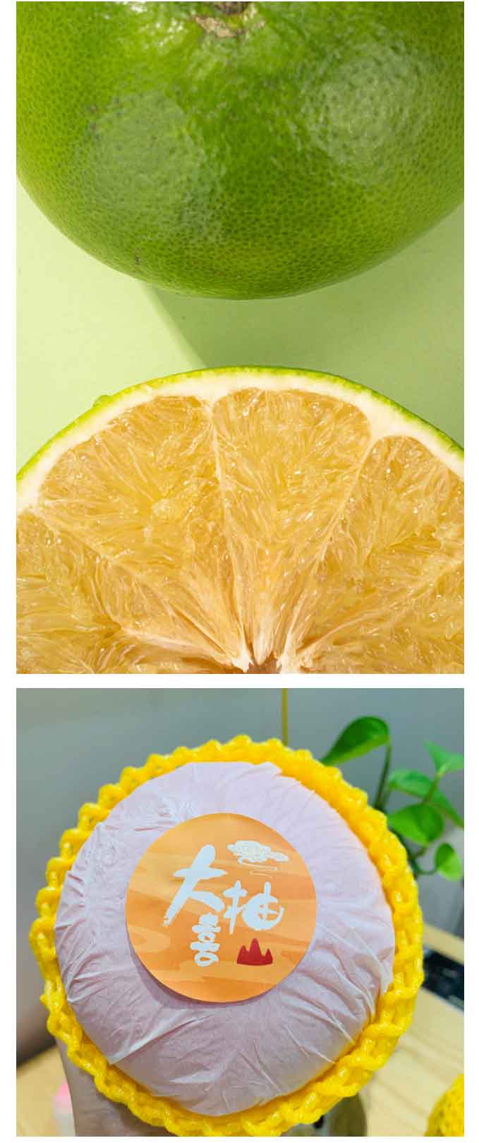 新鲜葡萄柚 清甜黄金柚/青柚/三红柚 3拼水果柚子 福建正宗大喜柚