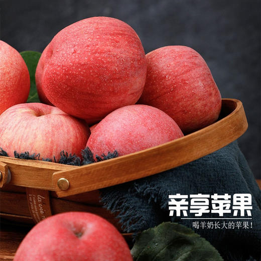 爆品回归！【亲享苹果】 喝羊奶长大的苹果亲享羊奶苹果   个大均匀 皮薄肉厚 肉质如羊奶般丝滑细嫩    春节不打烊 商品图5