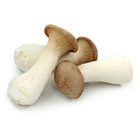 杏鲍菇  500g【DD】