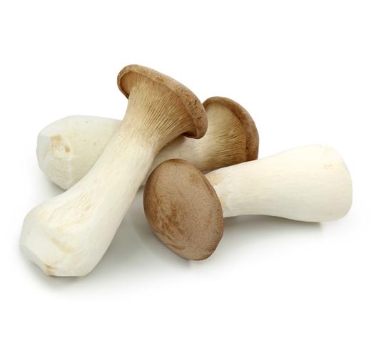 杏鲍菇  500g【DD】 商品图0